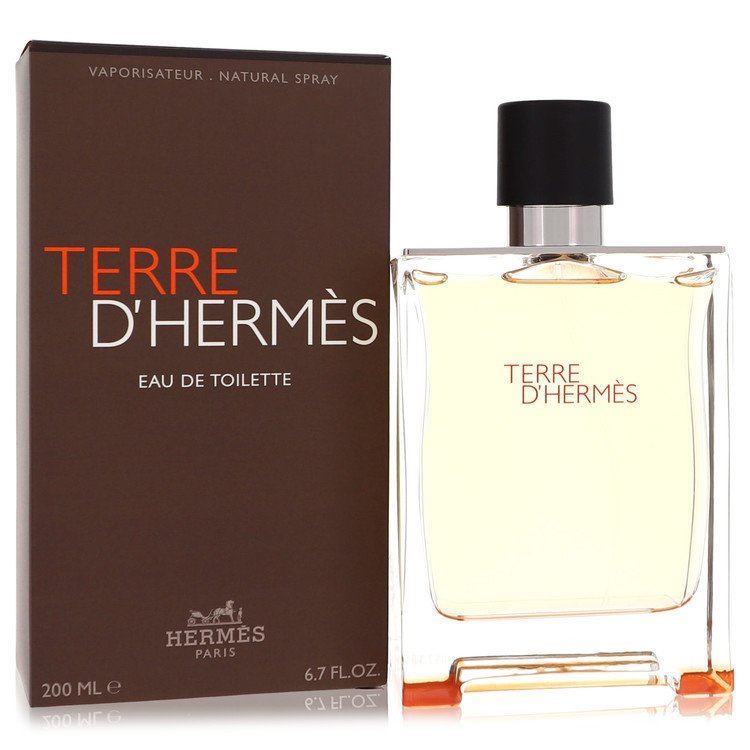 Terre D'hermes Eau De Toilette Spray By Hermes